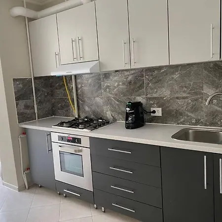 Apartment Apartament Centru Ismail Nr 9 *